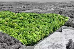 254 Light Ln, Cook Township, PA 15658 - Photo 47