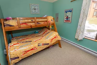 2803 Swiss Mountain Dr, Seven Springs, PA 15622 - Photo 19