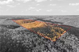 412 Majorsville Rd, West Finley, PA 15377 - Photo 27