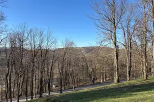 173 Alpine Heights Rd, Saltlick Township, PA 15622 - Photo 3