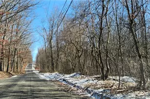 0 Nebo Rd, Saltlick Township, PA 15622 - Photo 1