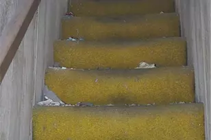 1922 Rhine St, Spring Hill, PA 15212 - Photo 25