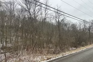 0 Hardins Run Rd, Hanover Township, PA 15026 - Photo 3