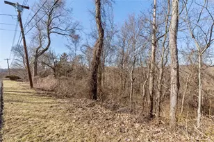 104 Chapel Crest Terrace, Indiana Township, PA 15238 - Photo 11