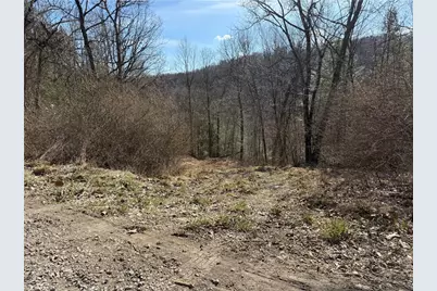 0 Boat Launch Rd, Wayne Township, PA 16222 - Photo 3