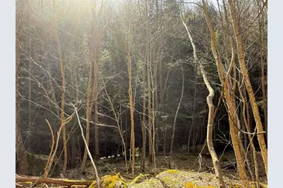 0 Boat Launch Rd, Wayne Township, PA 16222 - Photo 21