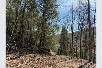 0 Boat Launch Rd, Wayne Township, PA 16222 - Photo 1