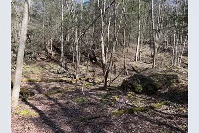 0 Boat Launch Rd, Wayne Township, PA 16222 - Photo 25