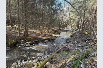 0 Boat Launch Rd, Wayne Township, PA 16222 - Photo 5