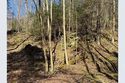 0 Boat Launch Rd, Wayne Township, PA 16222 - Photo 35