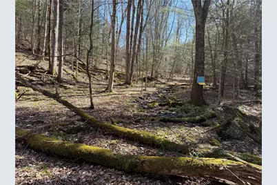 0 Boat Launch Rd, Wayne Township, PA 16222 - Photo 29