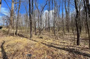 604 Loyalhanna Dam Rd, Loyalhanna, PA 15681 - Photo 13