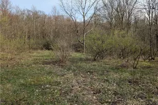 Tbd German Lutheran Church Cemetery Rd, Wheatfield Township (East/West), PA 15944 - Photo 1