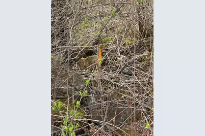 0 Walker Farm Rd, Rimersburg, PA 16248 - Photo 5