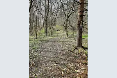 100 Jersey Hollow Rd, Lower Turkeyfoot Township, PA 15424 - Photo 13