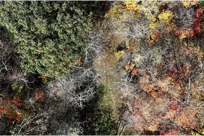 100 Jersey Hollow Rd, Lower Turkeyfoot Township, PA 15424 - Photo 29