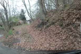 2807 13th Ave, White Township, PA 15010 - Photo 3