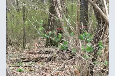 1765 Locust Rd, Pittsburgh, PA 15143 - Photo 7