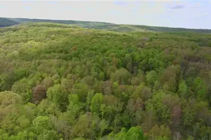 111 McCall Rd, Franklin Township, PA 16001 - Photo 49