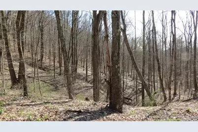 0 Drift Ridge Road / Sheppard Run, Franklin Township, PA 15362 - Photo 15