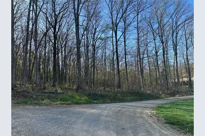 0 Swallow Rd, Loyalhanna, PA 15670 - Photo 9