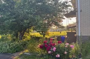 798 Hecla Rd, Mount Pleasant Township, PA 15666 - Photo 33