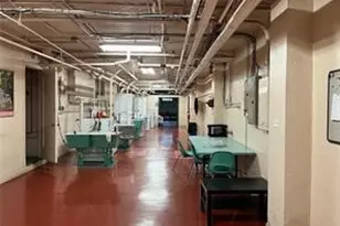 166 N Dithridge St, Pittsburgh, PA 15213 - Photo 25