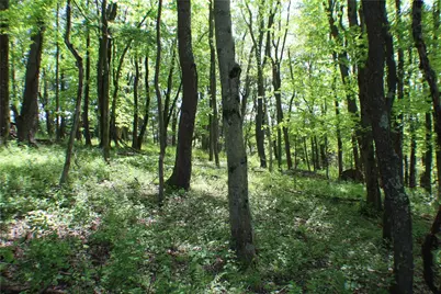 Lot Wexford Bayne Road, Marshall, PA 15090 - Photo 17
