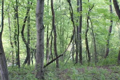 Lot Wexford Bayne Road, Marshall, PA 15090 - Photo 13