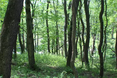 Lot Wexford Bayne Road, Marshall, PA 15090 - Photo 15