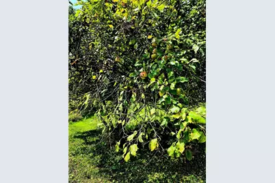 609 Trout Run Rd, Punxsutawney Area School District, PA 15767 - Photo 17