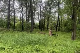 Lots 89 and 90 Laurel Summit Rd, Jenner Township, PA 15531 - Photo 1