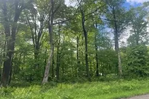 Lot 21 Village Run Rd, Jenner Township, PA 15531 - Photo 1