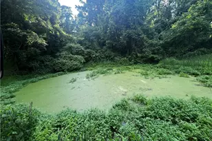 516 Chestnut Ridge Rd, Amwell, PA 15301 - Photo 37