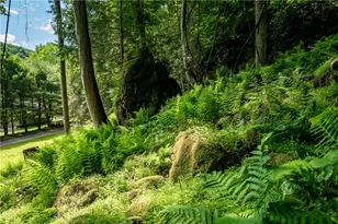 470 Truitt Rd, Scrubgrass Township, PA 16374 - Photo 49