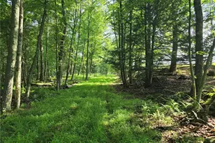 273 Government Rd, Redbank Twp, PA 16242 - Photo 33