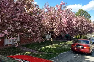 633 American St, California, PA 15419 - Photo 1