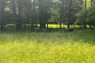 2612 Canoe Ridge Rd, Canoe Banks Twp, PA 15772 - Photo 25