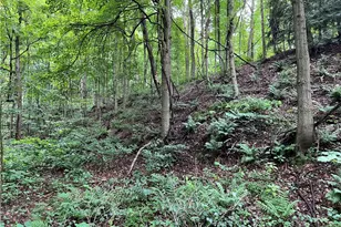 0 Constitution Blvd, Brighton Township, PA 15066 - Photo 17