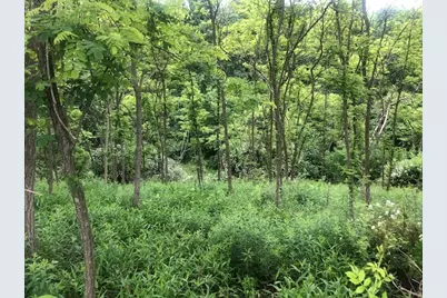 129 Ridgecrest Dr, South Buffalo Township, PA 16229 - Photo 5