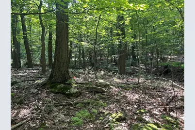 Lot 934 Ski Slope Rd, Bullskin Township, PA 15610 - Photo 5