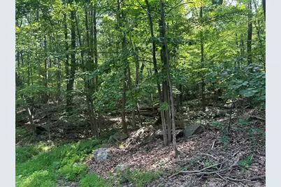 Lot 934 Ski Slope Rd, Bullskin Township, PA 15610 - Photo 1