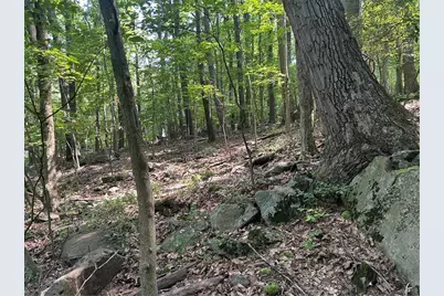 Lot 934 Ski Slope Rd, Bullskin Township, PA 15610 - Photo 3