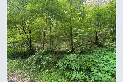 0 Coal Bluff Rd, Union Township, PA 15332 - Photo 33