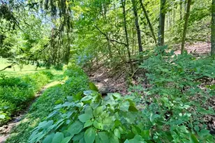 45 Dutch Hollow Rd, Collier Township, PA 15071 - Photo 7