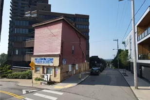 1325 Grandview Ave, Pittsburgh, PA 15211 - Photo 5