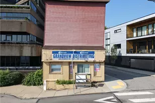 1325 Grandview Ave, Pittsburgh, PA 15211 - Photo 1