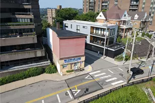 1325 Grandview Ave, Pittsburgh, PA 15211 - Photo 7