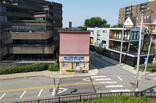 1325 Grandview Ave, Pittsburgh, PA 15211 - Photo 3