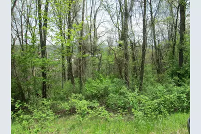 217 Briar Hill Rd, East Franklin Township, PA 16201 - Photo 3